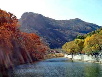 日韩视频在线观看上，建筑扣件多少钱一个